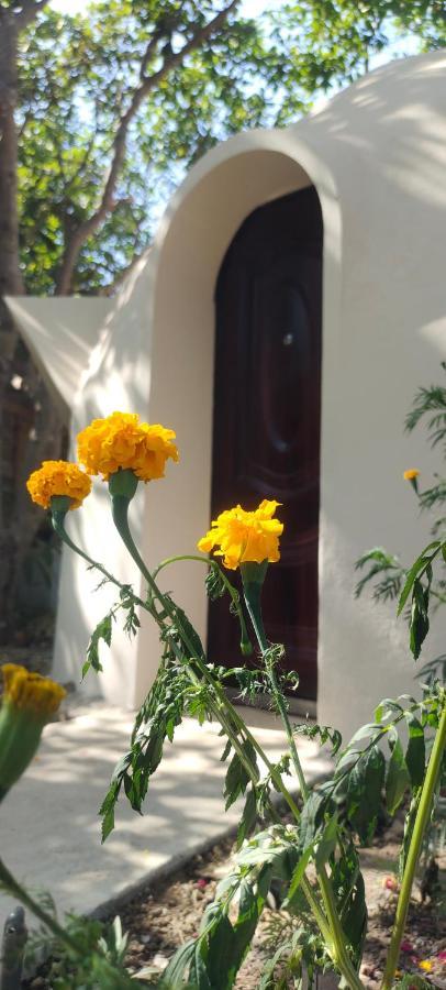 Done Right Hostel Phumi Chrouy Svay Ngoại thất bức ảnh